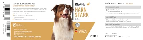 ReaVET Harnstark für Hunde 250g - Unterstützt Blasenfunktion bei Blasenschwäche, Inkontinez I Kürbiskernprotein, Kürbiskerne gemahlen Hund - Blase, Prostata & Harnwege & Immunsystem