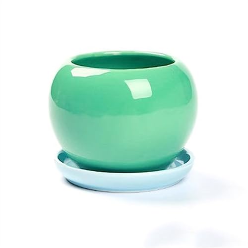 Pots de plantes en céramique ronds pour embellir votre décoration de bureau de travail