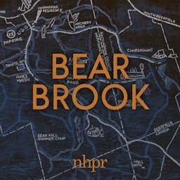 Couverture de Bear Brook
