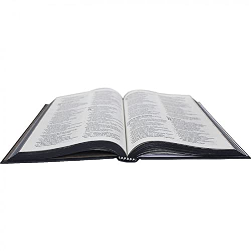 Bíblia Sagrada Palavras: Nova Almeida Atualizada (NAA)