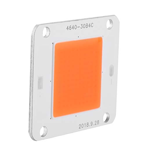 LED Chip Cob LED Chip DC12V 50W Cob LED Grow Light 380-840nm Full Spectrum Plant Grow Lamp Ljuskälla 12V Omvänd spänning för Främja växttillväxt