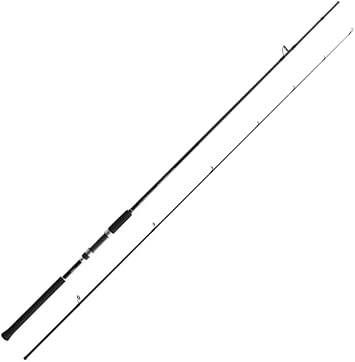 Shimano Rod 19 Salty Advance Assorted Salt Lure Game