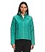 THE NORTH FACE Tamburello Jacket - Women's Wasabi X-Small