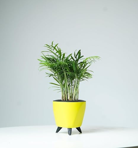 Image of Garden Art (Pack of 5 Indoor Outdoor Self Watering Planter Home Living Room Office Tabletop Decorative Plastic Flower Pot 5.1 Inch (Yellow, 5) PPLAY