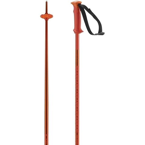 Bâtons de ski Salomon Polar 130 Cover
