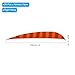 PATIKIL Shield Cut Vanes, 20 Pack 4 Inch Arrow Fletch Turkey Feather Fletch Right Wing Fletching for DIY Target Shooting, Orange