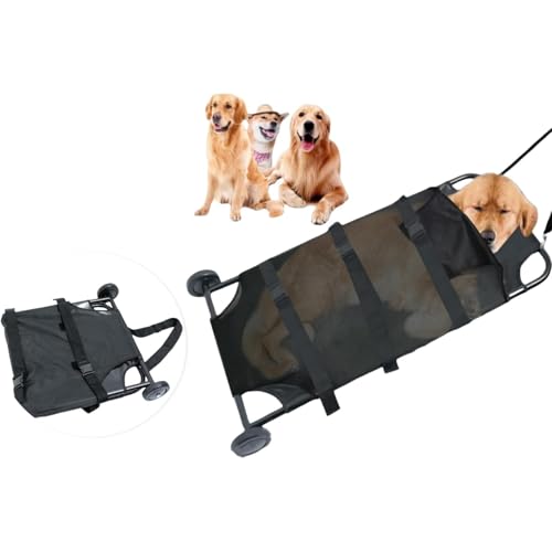 Kwueiit ܂肽ݎApAXgb`AybgAAAXeXApAJ[gAmCYt[zC[tAőe250|hAbpXgb`A@\Ae