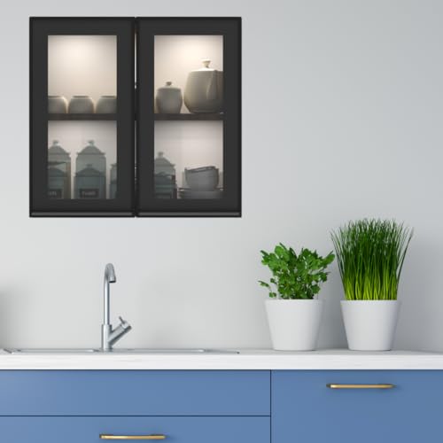 Image of SPECIALITY PANELS Multipurpose Cabinet with Modern Elegance Tinted Glass Wall Cabinet, Space Organizer for Office /Kitchen in (Cochwood Brown, 2 Glass Shutter)