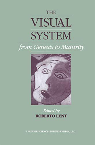 The Visual System from Genesis to Maturity view 2
