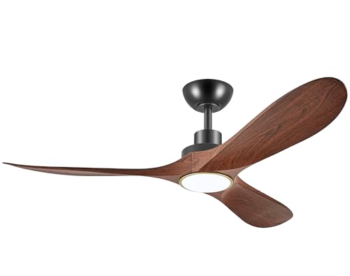 Cgt52C`̃V[Ot@ARt^_ABSV[Ot@ADC[^[Ao[VuA3CCTA\AmCYXAOV[Ot@ QArO[A_CjO[p