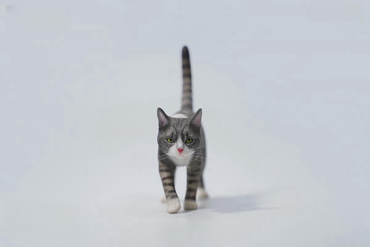 Amazon.com: WLNTDOLA 1:6 Scale Felis Catus Figure Realistic