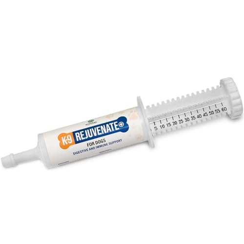 K9 Rejuvenate+ Canine Oral Paste (60g Oral Syringe, Pack of 1) Digestive and Immune Support for Dogs – Dog Supplements for Digestion K9 Rejuvenate+ Canine Oral Paste (60g Oral Syringe, Pack of 1) Digestive and Immune Support for Dogs – Dog Supplements for Digestion