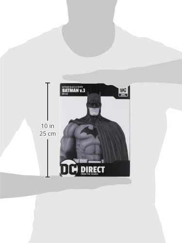 Amazon.com: DC Collectibles Batman Black & White: Batman V.3