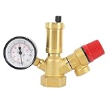 Alide Grupo de seguridad para caldera con manómetro, válvula de seguridad de 3 bar, purgador automático y kit de protección del circuito de calefacción de latón (DN25 hembra).