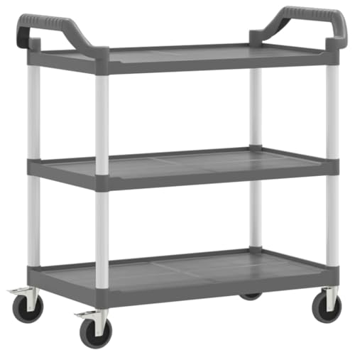 Kangmusi 30319 - Carrito con ruedas (3 niveles, aluminio, 99 x 50 x 96 cm), color gris