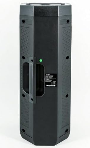 Reflexion PS09BT Mobiler Buetooth Partylautsprecher, DJ, Karaoke, 500Watt, UKW-PLL Radio, Disco LED Effekt mit Farbwechsel, incl. Mikrofon, Eingebauter Akku, Schwarz