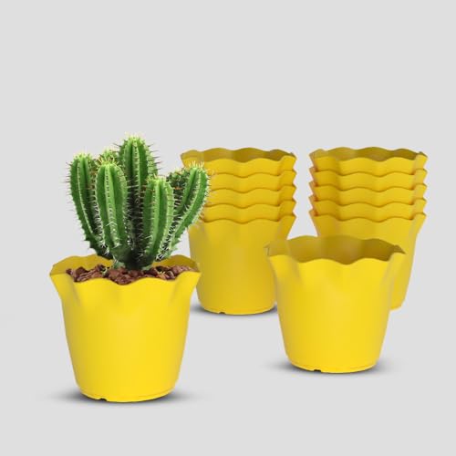 Image of YUCCABE ITALIA SHERA 6 Inch Plastic Flower Pot 12 Piece Set of Unbreakable Round Shape Planter for Home Garden Seedling, Indoor and Outdoor (Yellow)