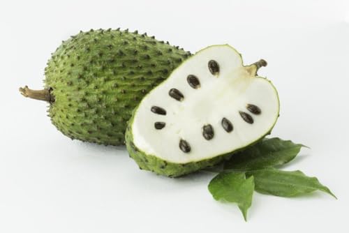 Té de graviola soursop 10 cápsulas miniatura 3