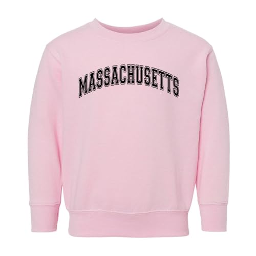 Arch Massachusetts Kids Sweatshirt Toddler 3T Pink