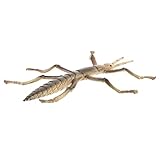 insecto palo caracteristicas educativo de insecto palo: El juguete Stickworm model toys en la categoría de Animales ofrece un diseño realista que facilita el aprendizaje sobre insectos, la imaginación y el desarrollo cognitivo de los niños sin complicaciones
