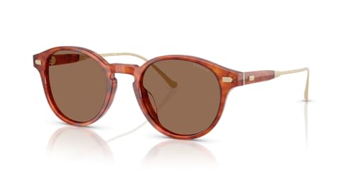Coach Men's HC8428U Universal Fit Round Sunglasses, Caramel Tortoise/Brown Solid, 50 mm2