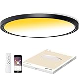 CycevSun 20 Inch LED Ceiling Light with Remote Control, Large Black Flush Mount Bedroom Light, Dimma
