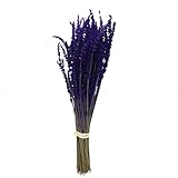  DECOALIVE Ramo de Lavanda Ramo de Flores Secas Flores de Lavanda Preservadas Ramo Preservado