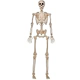JOYIN 5 FT Halloween Skeleton Life Size, Stayable Posable Skeleton Decor, Full Body Movable Joints Giant Skeletons for Halloween Decoration Outdoor, Haunted House Prop, Spooky Scary Graveyard Party