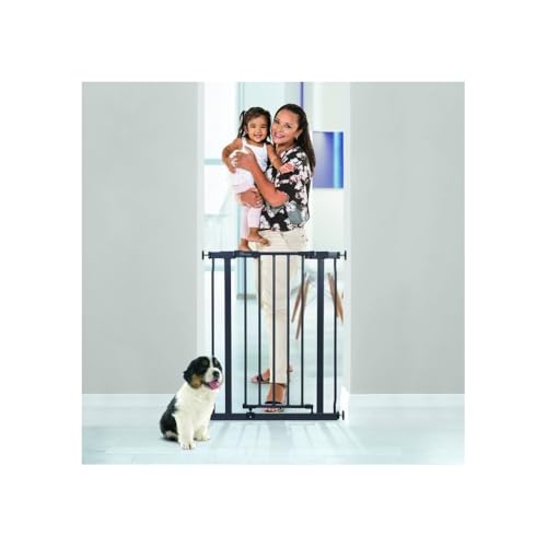 Dreambaby AVA Slimline Babyschutzgitter – sicheres & ausziehbares Druckgitter für Treppen und Hunde – 61–68 cm breit & 76 cm hoch – Anthrazit