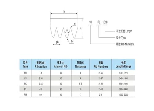 Courroie trapézoïdale PJ364 à haute adhérence élastique pour transmission stable - 3
