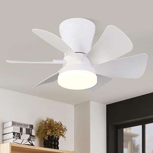 NOVFLAM Ceiling Fans with Lights, 22 inch Low Profile Ceiling