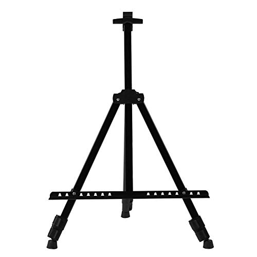 C[[X^hfBXvC ACA^OrA[gC[[ |[^uubNobOt 20 62C`璲߉\ tAyCeBO`fBXvCp