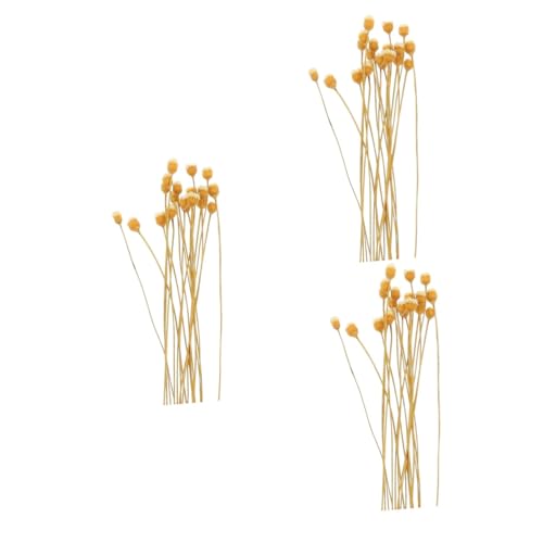 Didiseaon 60pcs Diffuser Sticks Rattan Diffuse Sticks for Home Decor Spa Relaxation Decorative Fragrance Accessories for Kitchen Bedroom Living Room
