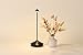 Zafferano, Pina Pro Lamp, Rechargeable Cordless Table Lamp with Touch Controls, Suitable for Indoor and Outdoor, Dimmer, 2200-3000 K, Height 11.4 Inches, Black Color
