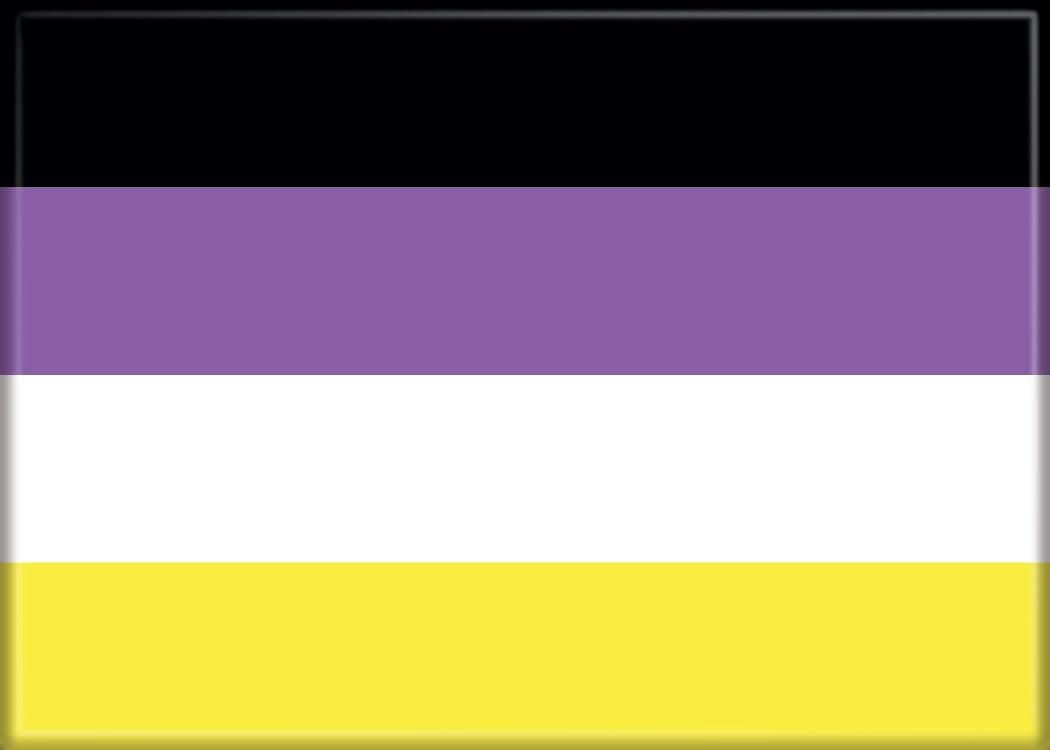 Aimant drapeau non binaire idée cadeau communauté Pride par Ata-Boy