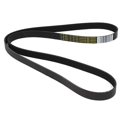 Belt 117207944R solution anti-sifflement pour courroie accessoires usée