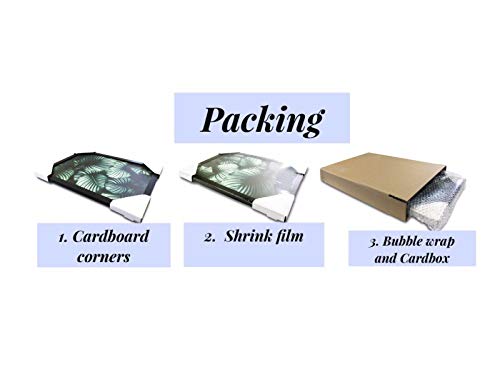 Charming House Design Set Of 3 Botanical Prints Monstera Leafs Pictures Black Frame FRAMED Botanical Plant Cactus Poster Print + Frame - Image 4