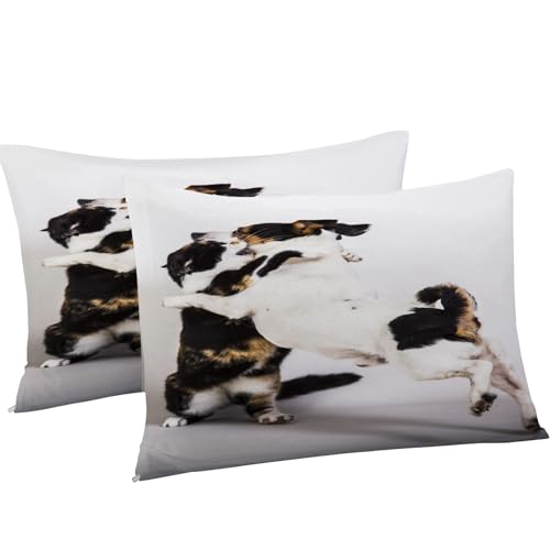 Housse de couette chien et lutte pour chambre d'enfant dynamique avec 2 taies - 8