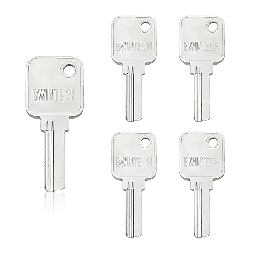 Bwintech Dimple Key Blank Suitable for Bwintech Brand 60 mm Cylinder Lock Only Pack of 5