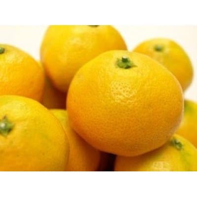 柳フルーツ園の訳ありみかん 5kg [S・Mサイズ混合]