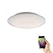 Produktbild Paul Neuhaus 8104-16 Q-ARKTIS LED Deckenleuchte D= 44cm Smart-Home Alexa fähig, RGBW Farbwechsel, dimmbar Fernbedienung 2700-5000 Kelvin