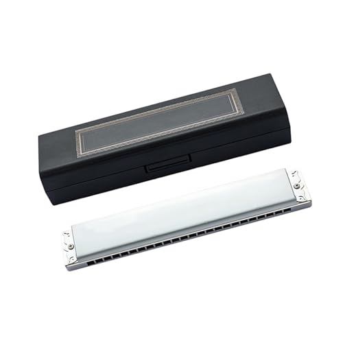 tKɓKBL[A~24n[jJ Dn[jJ(Single D)