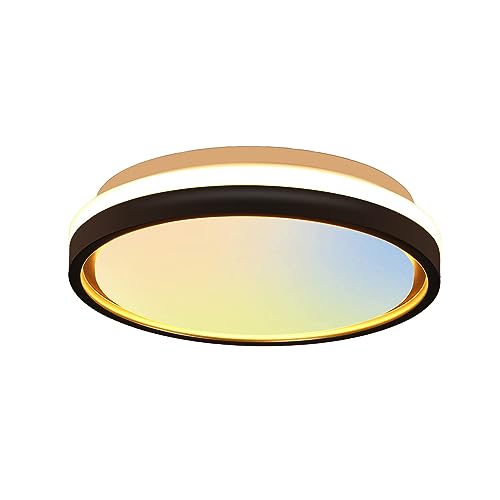 Éclairage de plafond industriel noir pour chambre et salle à manger chaleureuse