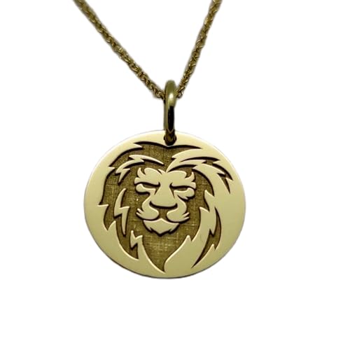 Collier pendentif pièce de monnaie gravée tête de lion argent