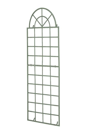 CLP Treillis Viva avec Cadre I Treillis A Montage Murale en Fer I Treillis pour Plantes Grimpantes I Arche A Rosiers I Montage Facile, Couleur:Vert Antique