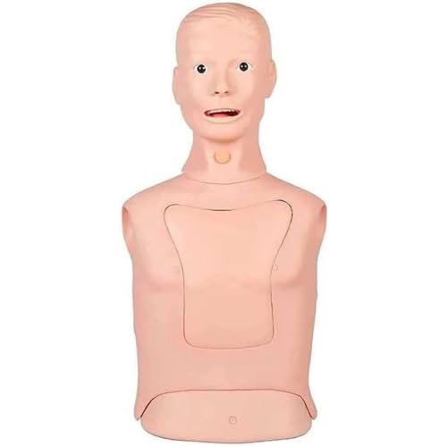 Image of Intubation Gastric Tube Manikin Medical Mannequin Training Manikin Advanced Nasogastric Tube and Trachea Care Model Gastric Lavage Tracheostomy Model for Nursing Teaching Education