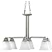 Progress Lighting P4003-09 6-Light North Park Chandelier, Brushed Nickel