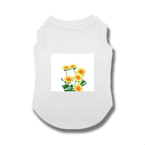 [XANPYO] ybg  ̕  tH~ tėp _炩 TVc ^Ngbv  o L ^ ^ Ȃ 3XL Ȑ L ^ ʋC ₩ Ăh Eѕی U o