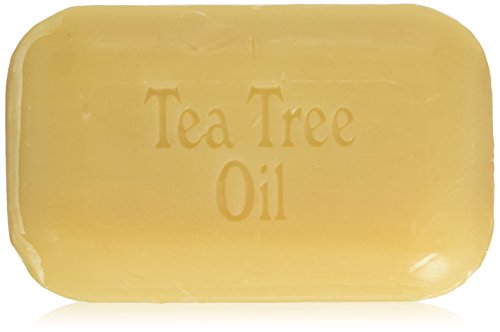 SoapWorks Tea Tree Soap Bar