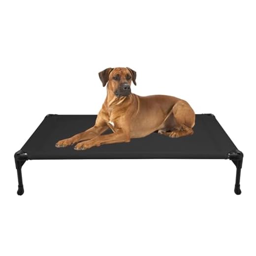 dibea Hundeliege Outdoor erhöhtes Hundebett Haustierliege (M) 106x62 cm Grau 9 Veehoo Kühl Erhöhte Hundebett, Hundeliege Outdoor für Klein, Mittelgroße, Grosse Hunde, aus Waschbar & Dauerhaft Textilene Netzstoff, L, Schwarz